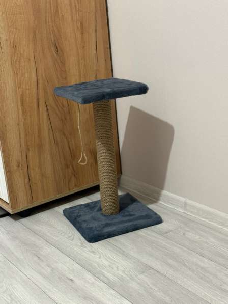Когтеточка для кошек