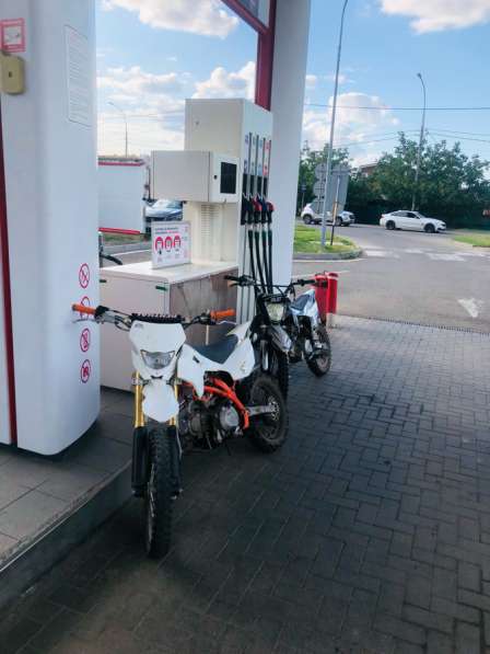 Питбайк Кайо басик тт 125 (с электростартером) в Краснодаре фото 3