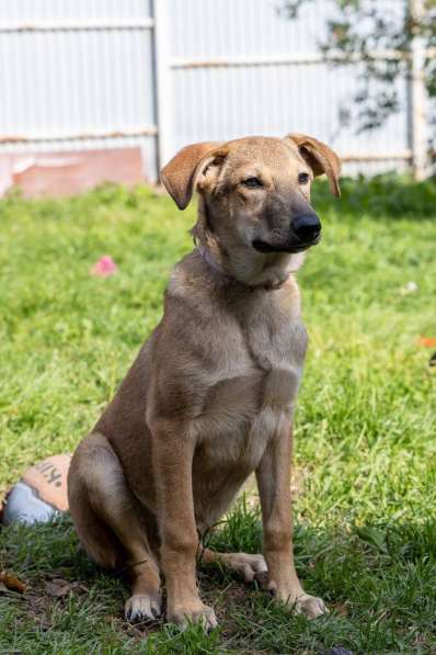 Сироте Марселю нужен дом