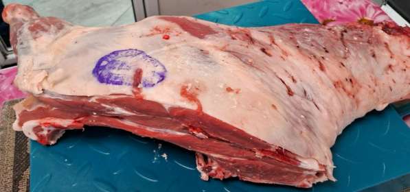 Мясо баранина курдюк говядина лёгкое в Нижнем Новгороде фото 6
