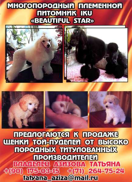 Продаются щенки титулованных производителей в фото 4