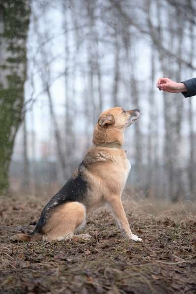 Харизматичный Марк ищет дом в Москве фото 38