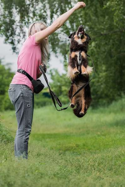 Чудо-собачка Фиби ищет семью в Москве фото 17