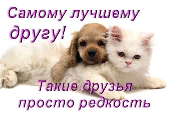 Ирина, 31 год, хочет пообщаться в Боровске