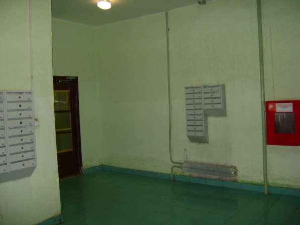 Большая квартира-студия в Тюмени фото 7