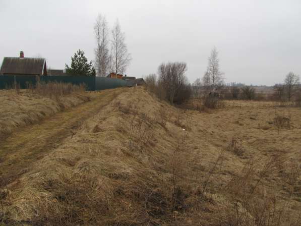 Продажа земельного участка. Псковская обл., Палкинский р-н в Санкт-Петербурге фото 4