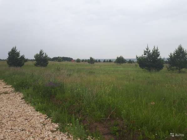 Участок 15 соток в Туле фото 18