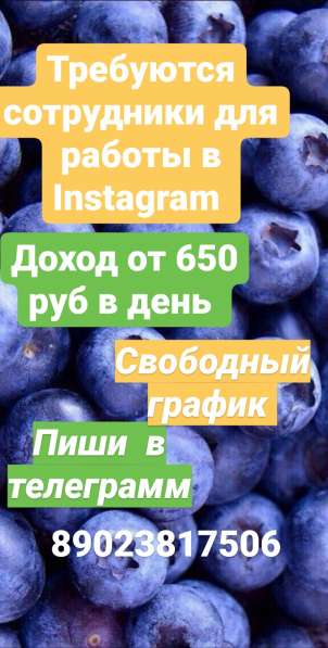 Консультант
