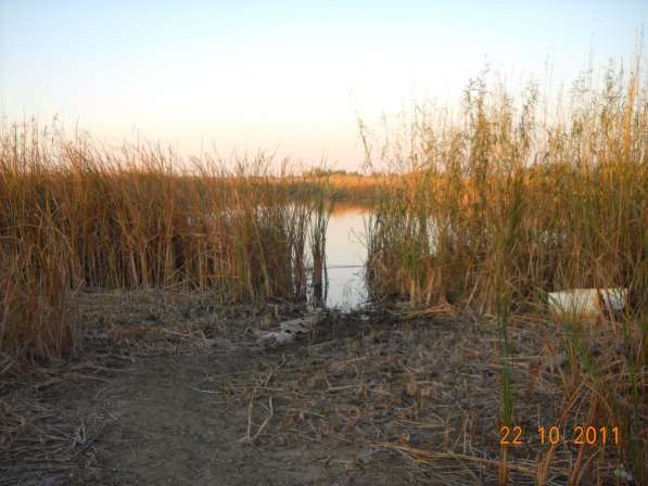 Срочно продается участок у реки в Астрахани фото 3