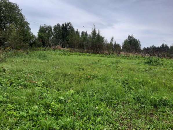 30 соток. Лпх. Рядом лес, водохранилище в Рузе фото 6