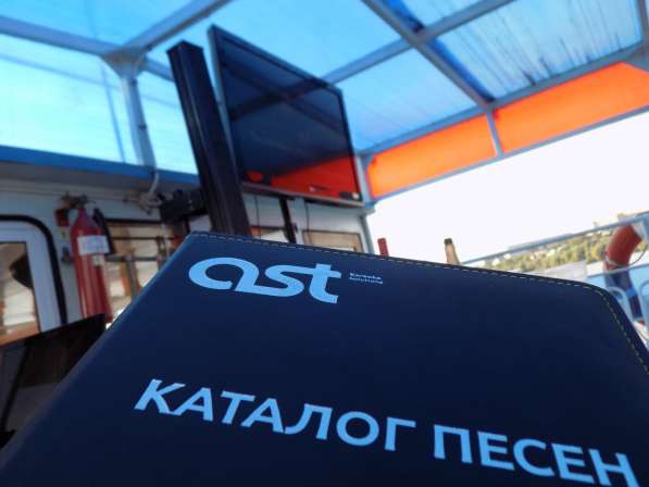 Выездные караоке вечеринки в Новосибирске фото 8