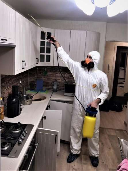 Уничтожим тараканов или вернем деньги в Москве