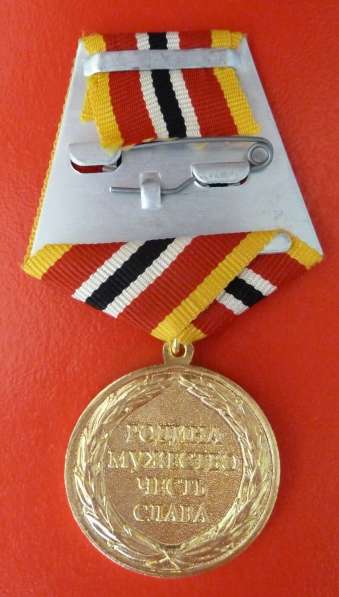 Россия медаль Защитнику Запорожской АЭС бланк документ СВО в Орле фото 7