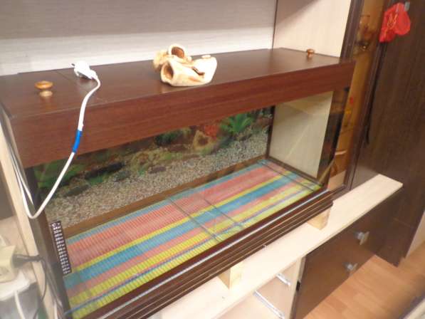 Продам новый аквариум на 170 литров в Смоленске фото 3