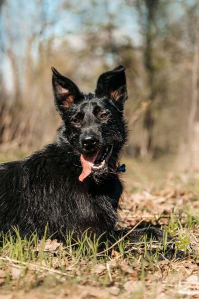 Заберите меня, пожалуйста в Москве фото 7