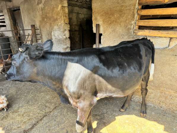 Продается в Владикавказе фото 3