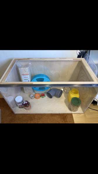 Витрина для хомяка бу 90х50х50