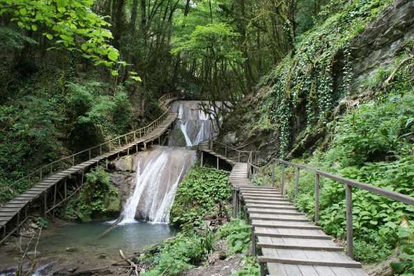 Экскурсии из Голвинки, Вардане и Лоо в Абхазию в Сочи фото 15