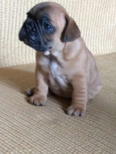 Французские булечки в Кирове фото 13