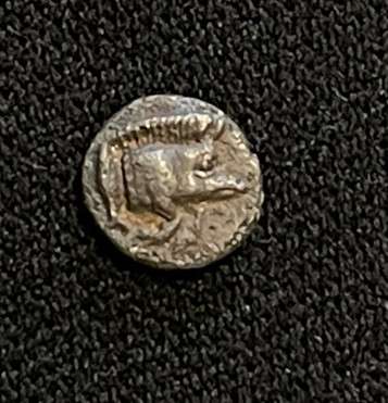 Кизикин монета 5 век до новой эры в Москве фото 3