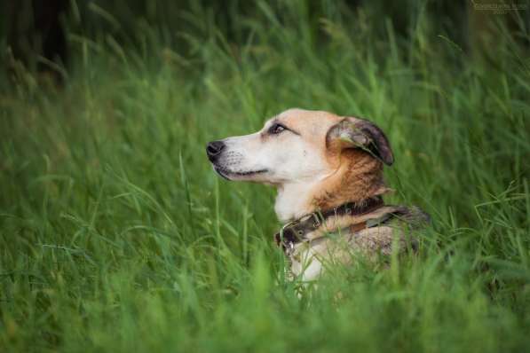 Молодой энергичный Майор ищет семью в Москве фото 39