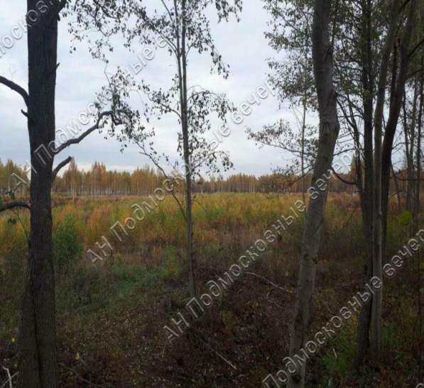 realty_mapper3.plot_in_locationИндивидуальное жилищное ст-во. Площадь 8.00 сот.Есть Электричество. в Москве фото 19