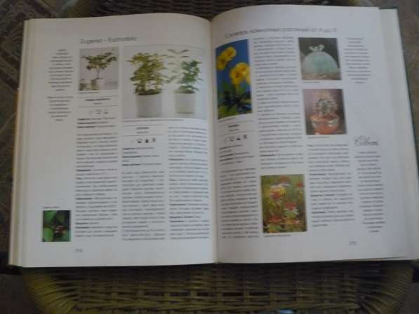 Книга 1000 прекрасных растений в вашем доме в Москве