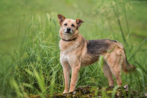 Харизматичный Марк ищет дом в Москве фото 15