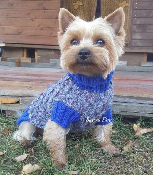 Свитера для собак ручной работы в Москве фото 11