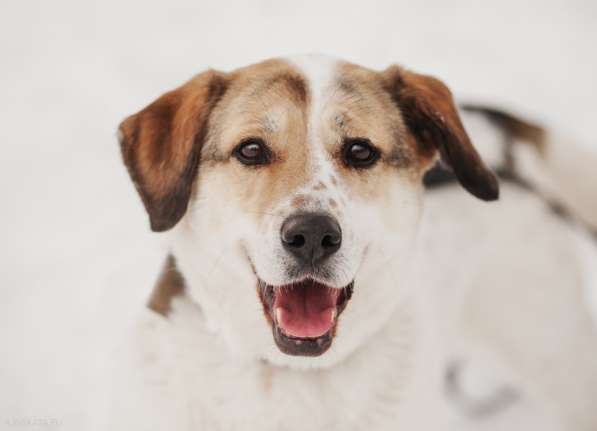 Улыбчивый лучик Фаина ищет семью в Москве фото 7