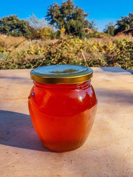 Продам натуральный крымский мёд! в Симферополе