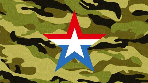 Военная служба по контракту