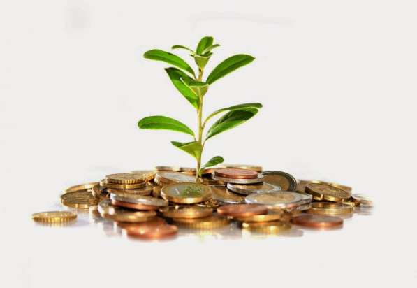 Администратор в интернет-магазин,*