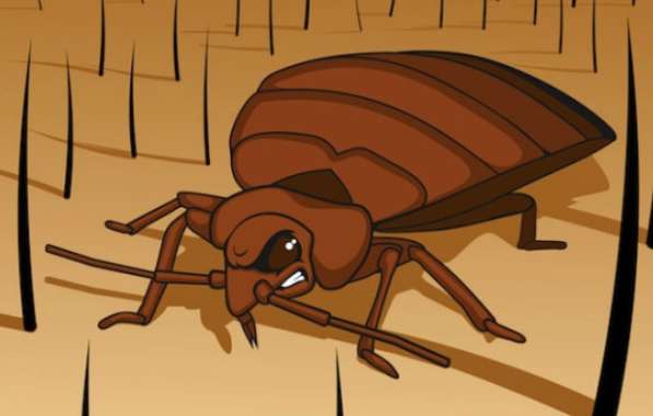 Уничтожение насекомых в Ступино