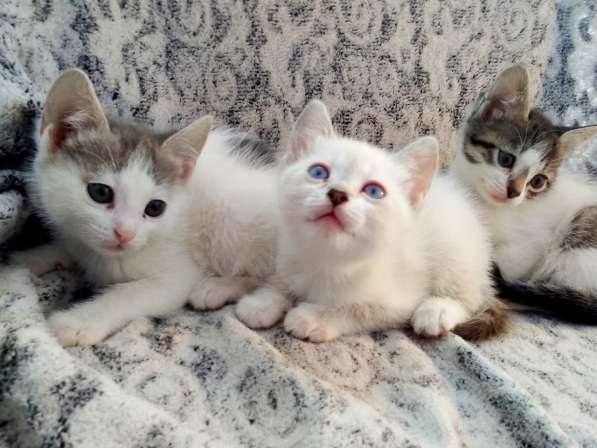 ЛУГАНСК, ВНИМАНИЕ!!! в фото 7