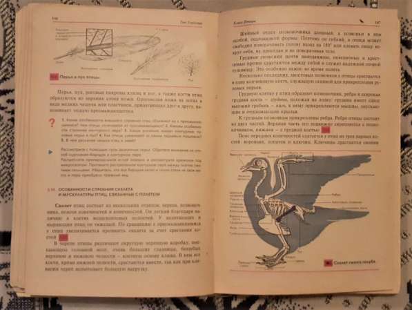 Учебник Биология 7-8 класс 1989г, 9 класс Цузмер и др. 1990г в фото 3