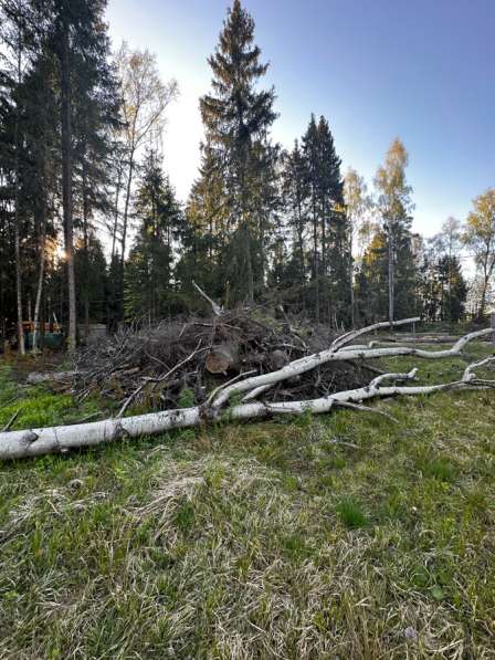 Участок СНТ в Медвежьиз Озёрах фото 4