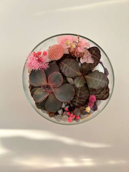 Флорариум в Перми