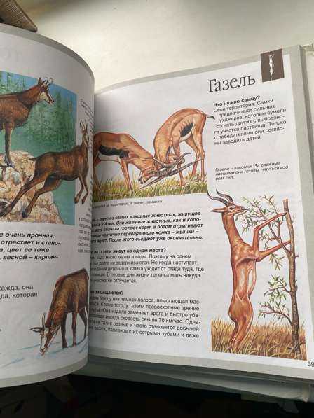 Детские энциклопедии в Екатеринбурге