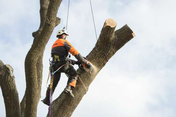 Земельные работы. Колодцы Септики Траншеи в Воронеже фото 3