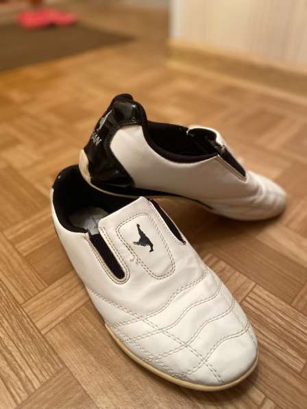 Степки тхэквондо