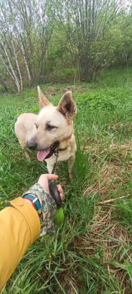 Фаичка ищет дом в Москве фото 4