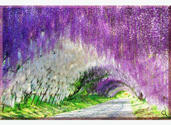 Картина Фантастические сады цветов Кавачи Фудзи