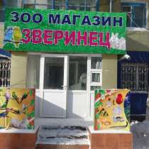Обслуживание аквариумов, в г.Астана