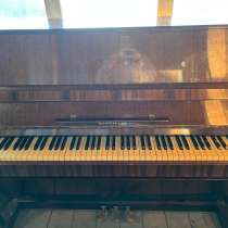 Пионино, в Тюмени