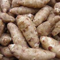 Топинамбур, в Тюмени