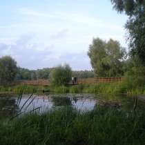 Очистка озёр, прудов, пожарных водоёмов, в Москве