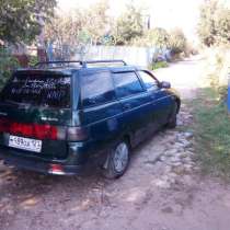 По краю и РФ, в Краснодаре