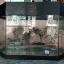 Продам аквариум на 50 литров б/у в хорошем состоянии, в г.Енакиево
