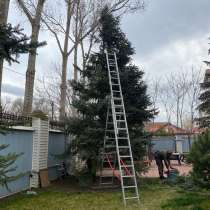 Требуется помощник, в Астрахани